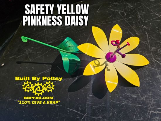 Picture of 22-Short Safety Yellow Pinkness Daisy