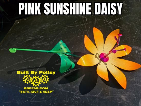 Picture of 22-Short Safety Yellow Pinkness Daisy