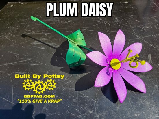 Picture of 22-Short Plum Daisy