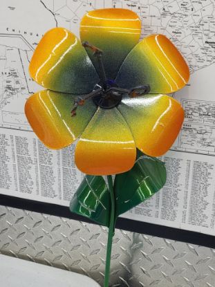 Picture of 22-Short Scorched Poppy