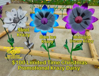 Picture of $100 Cost *PICKUP ONLY! DEPOSIT* Pre-Order- Steel Krazy Daisy