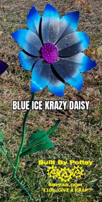 Picture of $100 Cost *PICKUP ONLY! DEPOSIT* Pre-Order- Blue Ice Krazy Daisy