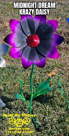 Picture of $100 Cost *PICKUP ONLY! DEPOSIT* Pre-Order- Midnight Dream Krazy Daisy