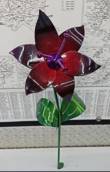 Picture of 22-Short - Red Night Purple Center Burst