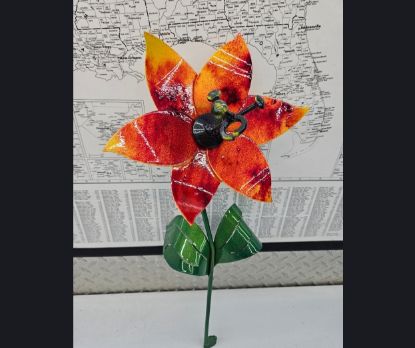 Picture of 22-Short PM Poinsettia BJ MessUp Yellow Red Jaw Breaker