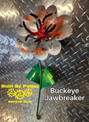 Picture of 22-Short Buckeye Jawbreaker