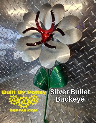 Picture of 22-Short Silver Bullet Buckeye