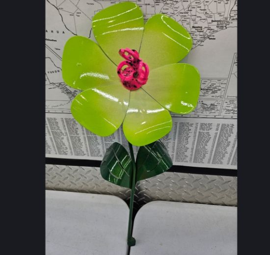 Picture of Val-26 Featured Item - Lime Krazy Pink Center