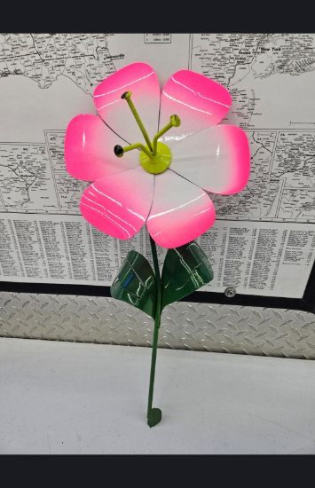 Picture of 22-Short Poppy Pink Baby Lime Yellow 3 Point Center