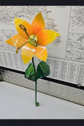 Picture of 22-Short PM Poinsettia Lime Squeeze Florida Sun