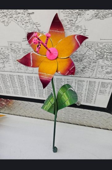 Picture of 22-Short PM Poinsettia Burnt Cherry Sun Pink Freaky