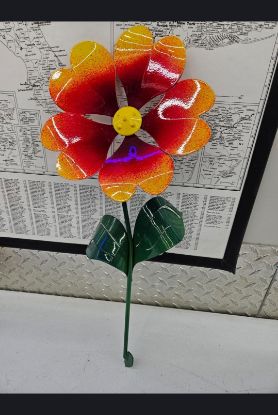 Picture of 22-Short Berry Heart Sun Love Yellow Center