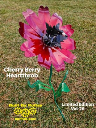 Picture of Shipped - Val-26 Cherry Berry Heartthrob