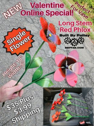 Picture of Long Stem Red Phlox