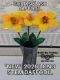 Picture of Gold Splash Daffodil Long Stem