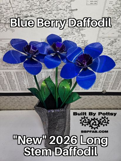 Picture of 3-Pack - Blue Berry Daffodil Long Stem