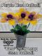 Picture of 3-Pack - Purple Blast Daffodil Long Stem