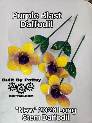 Picture of 3-Pack - Purple Blast Daffodil Long Stem