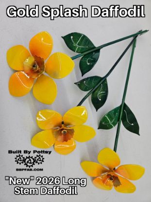 Picture of 3-Pack - Gold Splash Daffodil Long Stem
