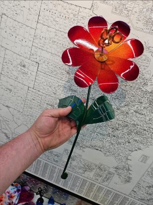 Picture of 22-Short Sun Berry Daisy Orange Center