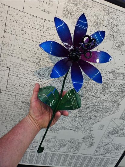 Picture of 22-Short Purple Blue Night Daisy Black Center