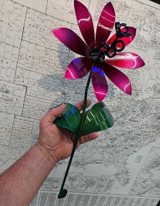 Picture of 22-Short Berry Pink Chrome Daisy Black Center