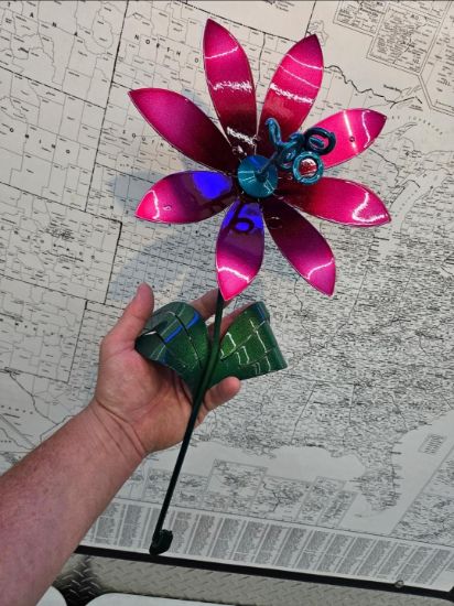 Picture of 22-Short Berry Pink Chrome Daisy Teal Center