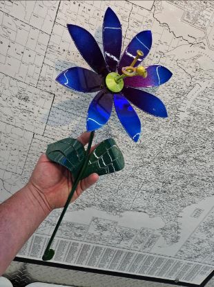 Picture of 22-Short Purple Blue Night Daisy Lime Center