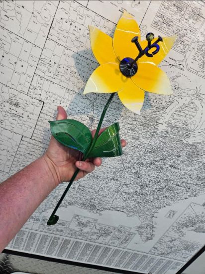 Picture of 22-Short Black Bright Sun PM Style