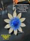 Picture of Wall Hanger - Dark Blue Winter